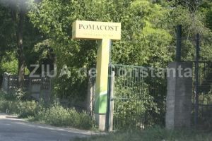 Un nou contract pentru Pomacost SA de la Primaria Constanta