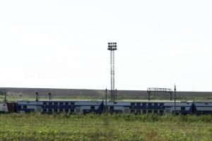 Proiect in transparenta decizionala: Cum lupta Ministerul Transporturilor cu copacii care risca sa cada pe liniile de cale ferata