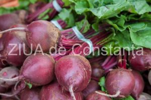 De secole sfecla rosie este apreciata ca stimulent digestiv si hepatic
