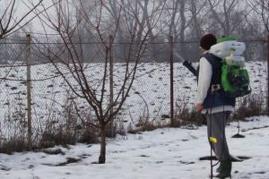 Lucrări agricole în livada şi via aflate în repausul vegetativ