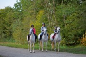 Centrul ecvestru de lângă Sfântu Gheorghe a atras peste 160 de cursanţi