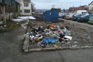 Mostră de ”civilizaţie” pe str. Colibiţei. Containerele goale, gunoiul pe jos (FOTO)