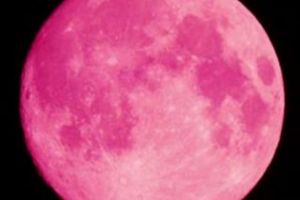 Rusia intentioneaza sa formeze juristi pentru eventuale dispute teritoriale pe Luna
