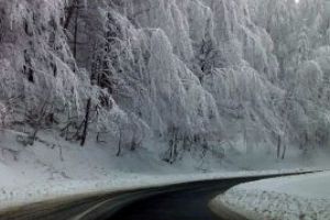 Meteo: -5 grade C la Cavnic si -4 grade C la Borsa si Viseu. Afla aici, mai multe informatii despre cum va fi vremea astazi in Maramures