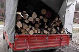 Alt harghitean amendat pentru transport de lemne fără documente