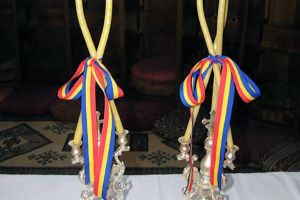Ce reprezintă dicherul şi tricherul