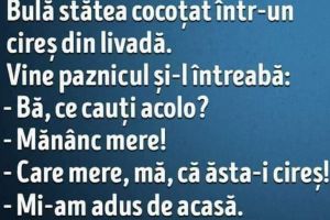 Mâncare la pachet !