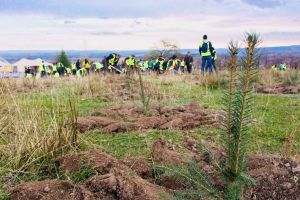 Holzindustrie Schweighofer: doi ani de implementare cu succes a planului de acţiune pentru o ...