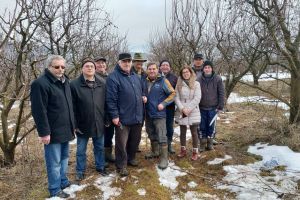 Șase persoane au învăţat tehnica tăierilor de rărire şi fructificare la pomii pe rod (FOTO)
