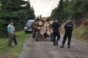 Hoţ de lemne prins prin ”Scutul Pădurii” la Scoreiu