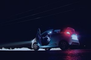 „Circulaţi cu prudenţă”! Apariţie SURPRINZĂTOARE pe drumul spre Moneasa
