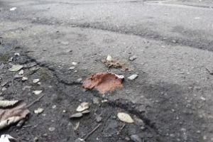 (FOTO) Baia Mare: Trotuarele, din unele cartiere, sunt “unse” cu excremente de caini. Trecatorii fac “slalom” printre ele