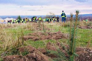 Holzindustrie Schweighofer - doi ani de implementare cu succes a planului de acţiune pentru o ...