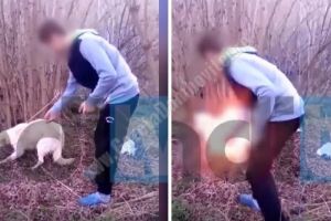 DÂMBOVIȚA: Doi adolescenţi s-au filmat dând foc unui câine viu
