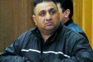 BERCEA Mondial este LIBER ca pasărea CERULUI
