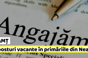 NEAMȚ: 10 posturi vacante în primăriile din Neamţ