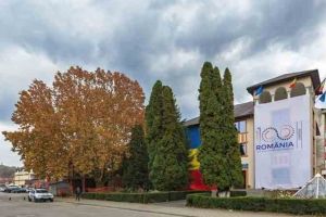 Platanul falnic din Câmpeni, vechi de 200 de ani, a intrat oficial în competiţia Arborele European al Anului 2019