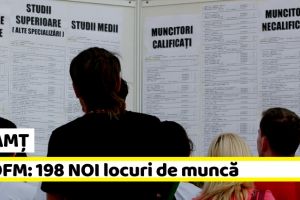 NEAMȚ: AJOFM – 198 NOI locuri de muncă, comunicate în săptămâna 4-8 februarie