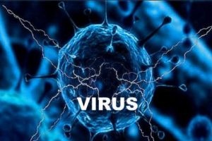 Alertă medicală! Un VIRUS MORTAL este la graniţa României. Deja face ravagii în Ungaria