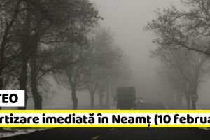 METEO: Avertizare imediată în judeţul Neamţ (10 februarie). Ceaţă, chiciură