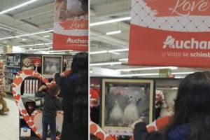 FOTO – Porumbei vii închişi în cutii de plastic la Auchan din Sibiu. Oamenii s-au revoltat