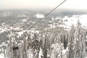 Vin Serbările Zăpezii! Ce invitaţi vor cânta anul acesta la Vârtop