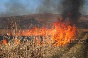ULTIMĂ ORĂ: Incendiu de vegetaţie uscată între Răstoaca şi Vulturu