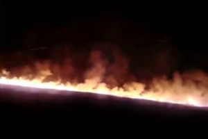 INCENDIU de vegetaţie uscată în cartierul Recea din municipiul Alba Iulia