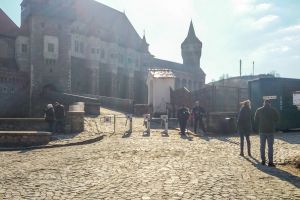 Turnicheţii de la Castel au fost puşi la treabă