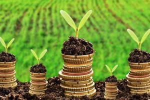 Fermierii români vor putea accesa mai uşor bani europeni începând cu 2020, pentru a-şi susţine producţiile