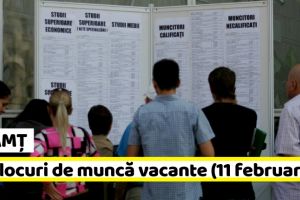 NEAMȚ: AJOFM: 756 locuri de muncă vacante la data de 11 februarie