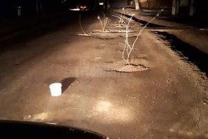 Gropi astupate cu pământ şi crengi, pe strada principală din Mitocu Dragomirnei