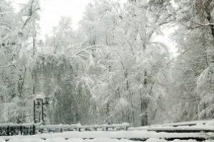 Meteo: Maine va ninge, iar temperatura minima, in Maramures, va fi de -8 grade C