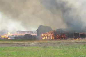 Saivan în flăcări la Caşolţ – Intervin pompierii
