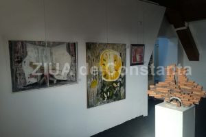 Vernisajul expozitiei Dobrogea - povestile taramului dintre ape“: Mansarda Muzeului de Istorie, metamorfozata in galerie de arta (galerie foto)