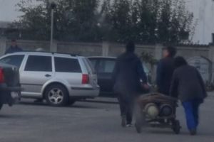 Cum arată subalterna ideală pentru directorul unei uzine din Gorj: Este muncită, trage la căruţ ca un animal de povară, cară cu mâinile greutăţi mari şi nu cere bani!