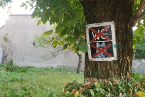 Peste 800 de asociaţii de proprietari din Oradea au semnat protocoalele de îngrijire a spaţiilor verzi