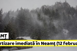 METEO: Avertizare imediată în judeţul Neamţ (12 februarie). Ninsoare, viscol