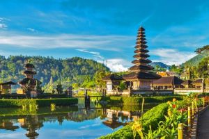 Burse oferite studenţilor UMFST interesaţi de limba şi cultura indoneziană
