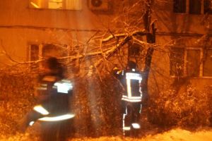 Copaci căzuţi pe străzile din Sibiu din cauza zăpezii