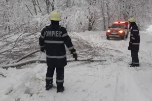 FOTO – Drumuri blocate de copaci căzuţi în judeţul Sibiu