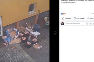 Caz revoltător la un restaurant din Bistriţa. Ce riscă patronii