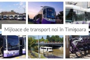 Adevărul din spatele creşterilor record de mijloace de transport în comun de pe traseele din Timişoara