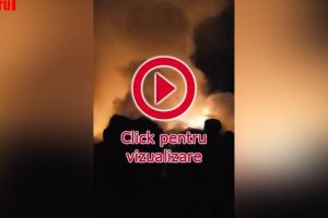 Un incendiu pus intenţionat în toiul nopţii a distrus furajele unei stâne la Bosanci