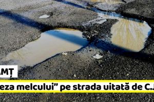 NEAMȚ: „Viteza melcului” pe strada uitată de Consiliul Judeţean (FOTO)
