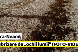 NEAMȚ: Salubrizare de „ochii lumii” la Piatra-Neamţ (FOTO-VIDEO)