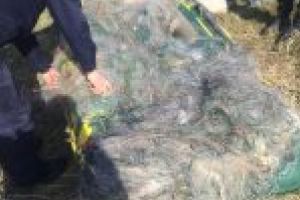 PESCUIT CU UNELTE INTERZISE, ÎN PERIOADA DE PROHIBIŢIE