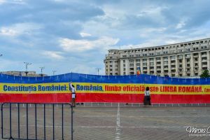Senatul a trecut o lege iniţiată de UDMR prin care limba maghiară devine a doua limbă oficială în justiţie