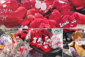 FOTO, VIDEO: Armată de inimi roşii şi ursuleţi de pluş, de toate mărimile, pe Bulevardul Transilvaniei, din Alba Iulia. Cadouri de Valentine’s Day pentru îndrăgostiţii de toate vârstele