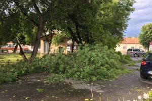 Curăţenie după ploi şi vijelii. Primăria a îndepărtat urmele furtunii